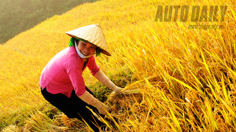 Kiệt t&aacute;c ruộng bậc thang M&ugrave; Cang Chải